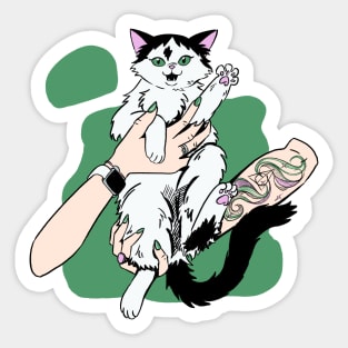 black and white cat Waffle in woman hands Sticker